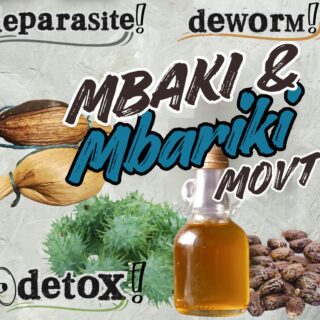 Mbaki and Mbariki Movement e-book Compilation