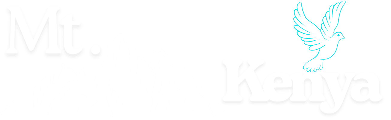 Mt. Kenya eCommerce Hub